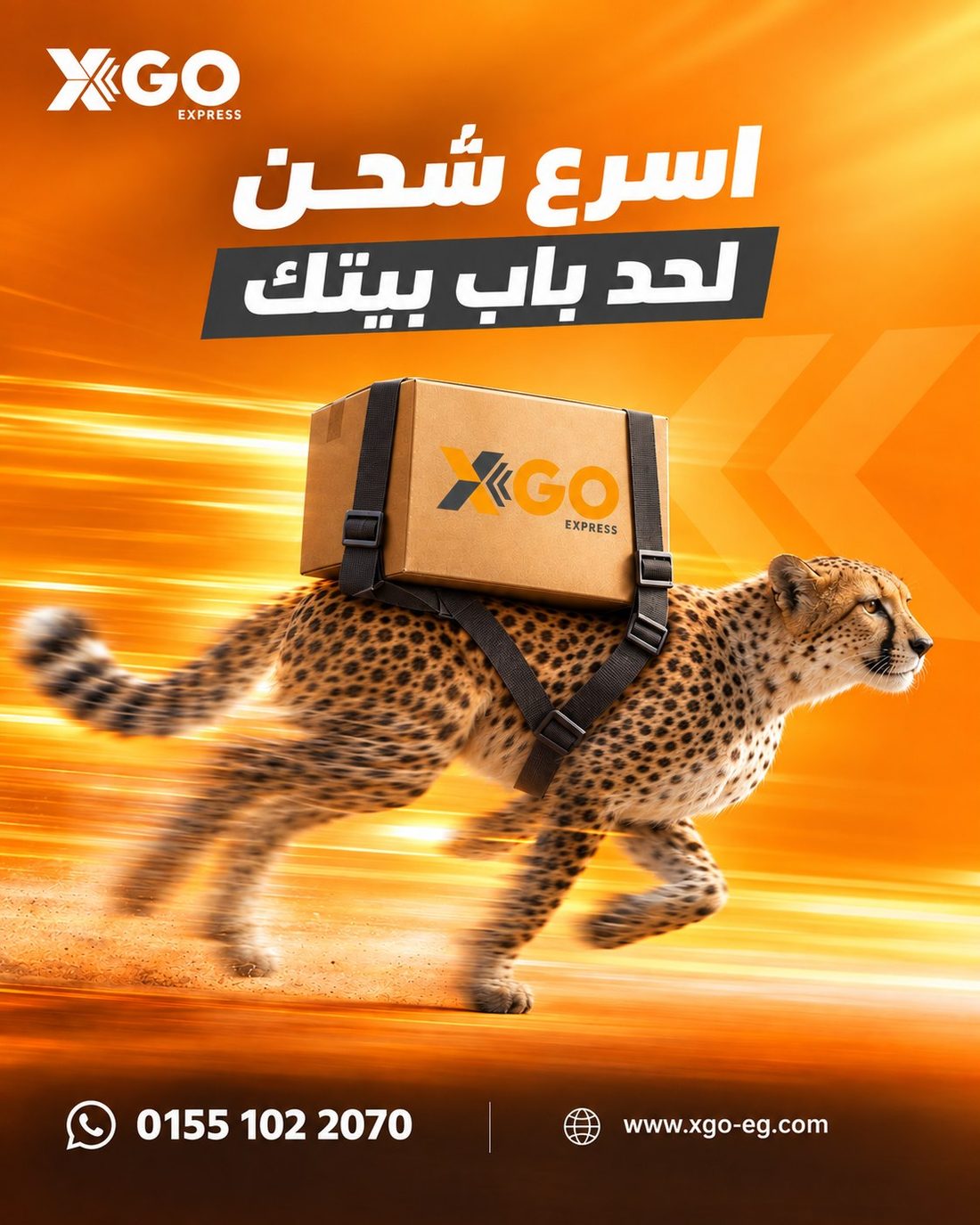 X-GO Express speed proposition poster with running cheetah carrying a branded parcel